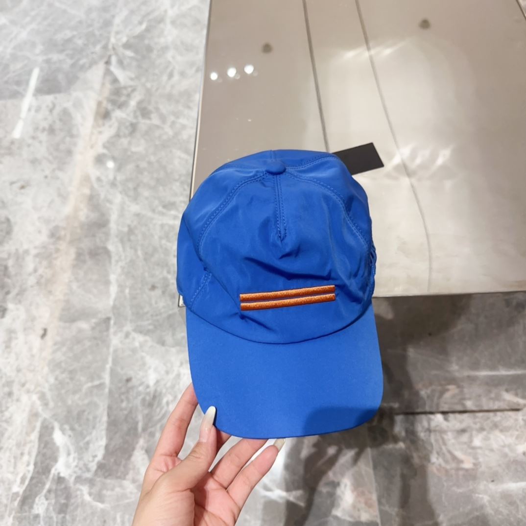 Zegna Caps